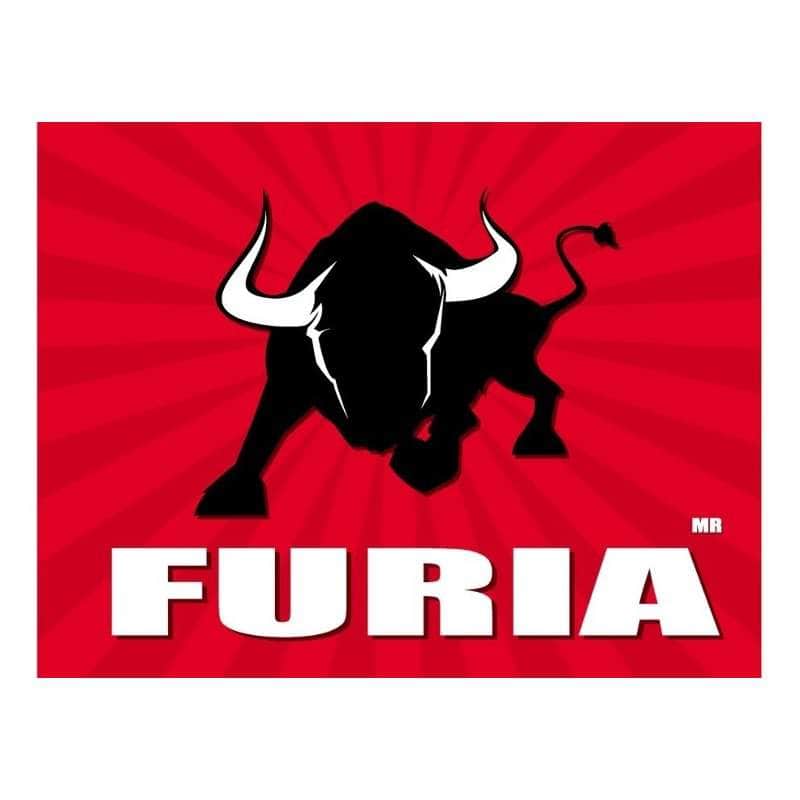 FURIA Ferreteria la economica