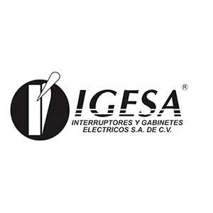 IGESA Ferreteria la economica