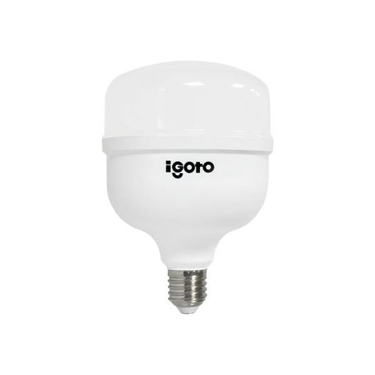 213780 Foco de led alta potencia 40w LDD T120 F10540 Igoto