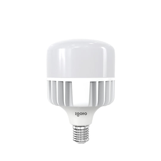 Foco LED alta potencia IGOTO F10570 de 70W luz día