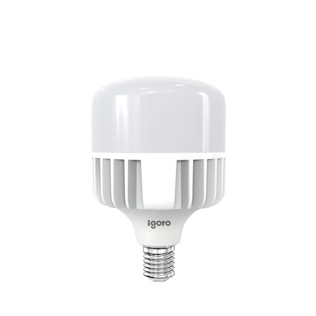 Foco LED alta potencia IGOTO F10570 de 70W luz día