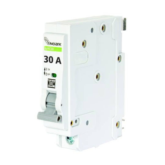 204844 Interruptor termomagnetico 1 polo 30a 616637 Iusa