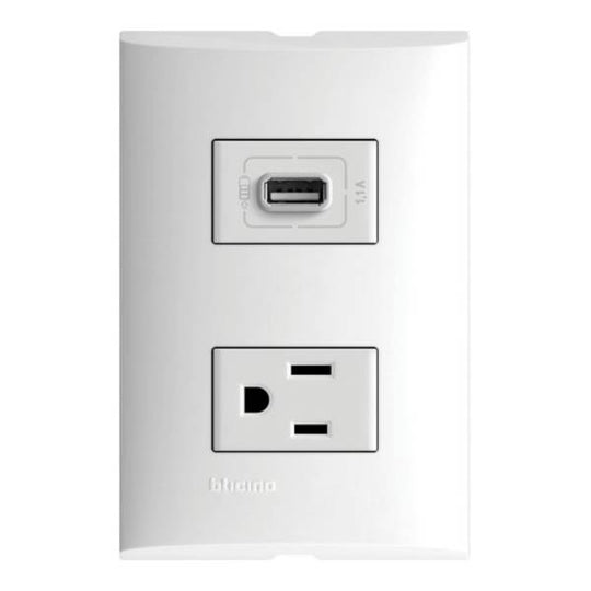 212329 Placa 2 ventanas con contacto 2p+t y contacto USB blanco Forza Bticino