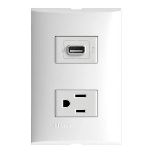 212329 Placa 2 ventanas con contacto 2p+t y contacto USB blanco Forza Bticino