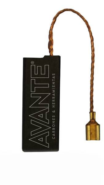 216461 Carbones para hidrolavadoras 2pz cap-72 Avante