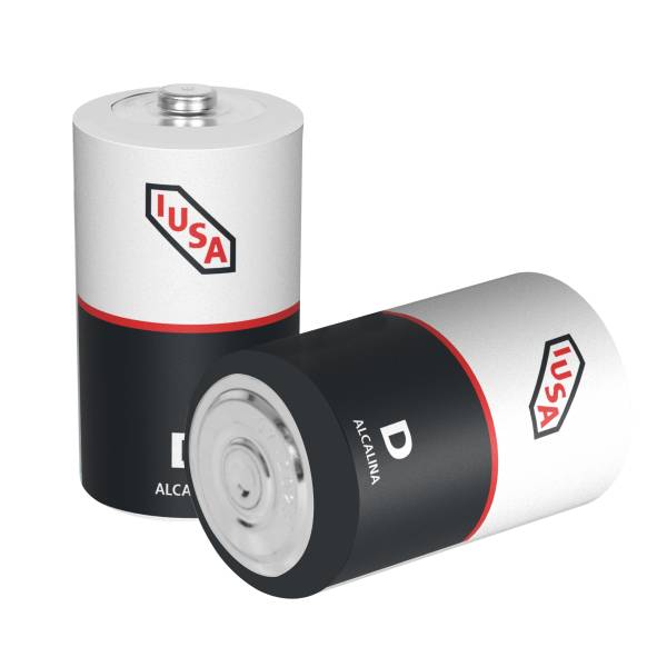 287193 Pila alcalina D blister con 2 pz Iusa