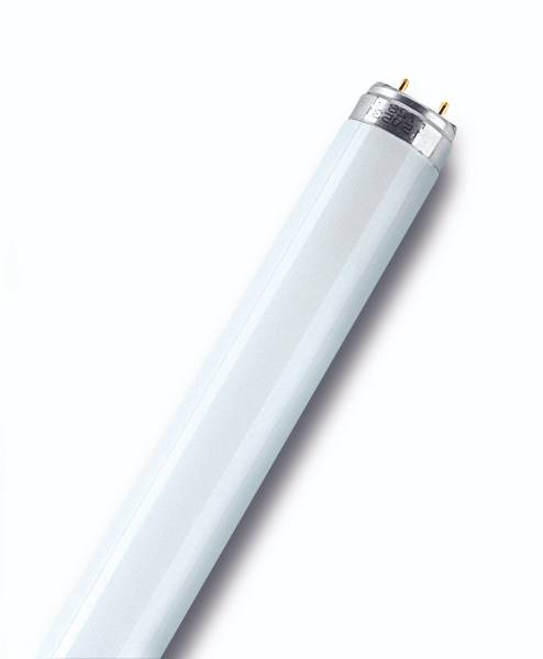 5439 Lampara fl 15w 6500k t8 ldd 2 pin osram