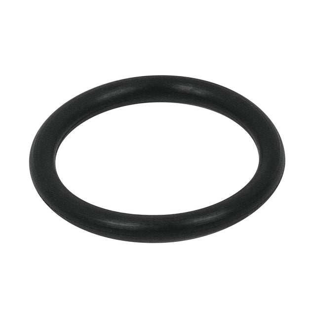 425-023 O ring chico para cilindro de fumigadora FM-425, Truper