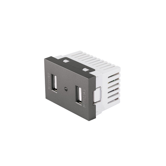 C2USB-LA Toma 2 puertos USB acero inox de 1.5 módulos, línea Lisboa