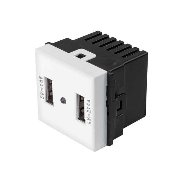 C2USB-TB Toma con 2 puertos USB de 1.5 módulos, línea Toledo, BASIC
