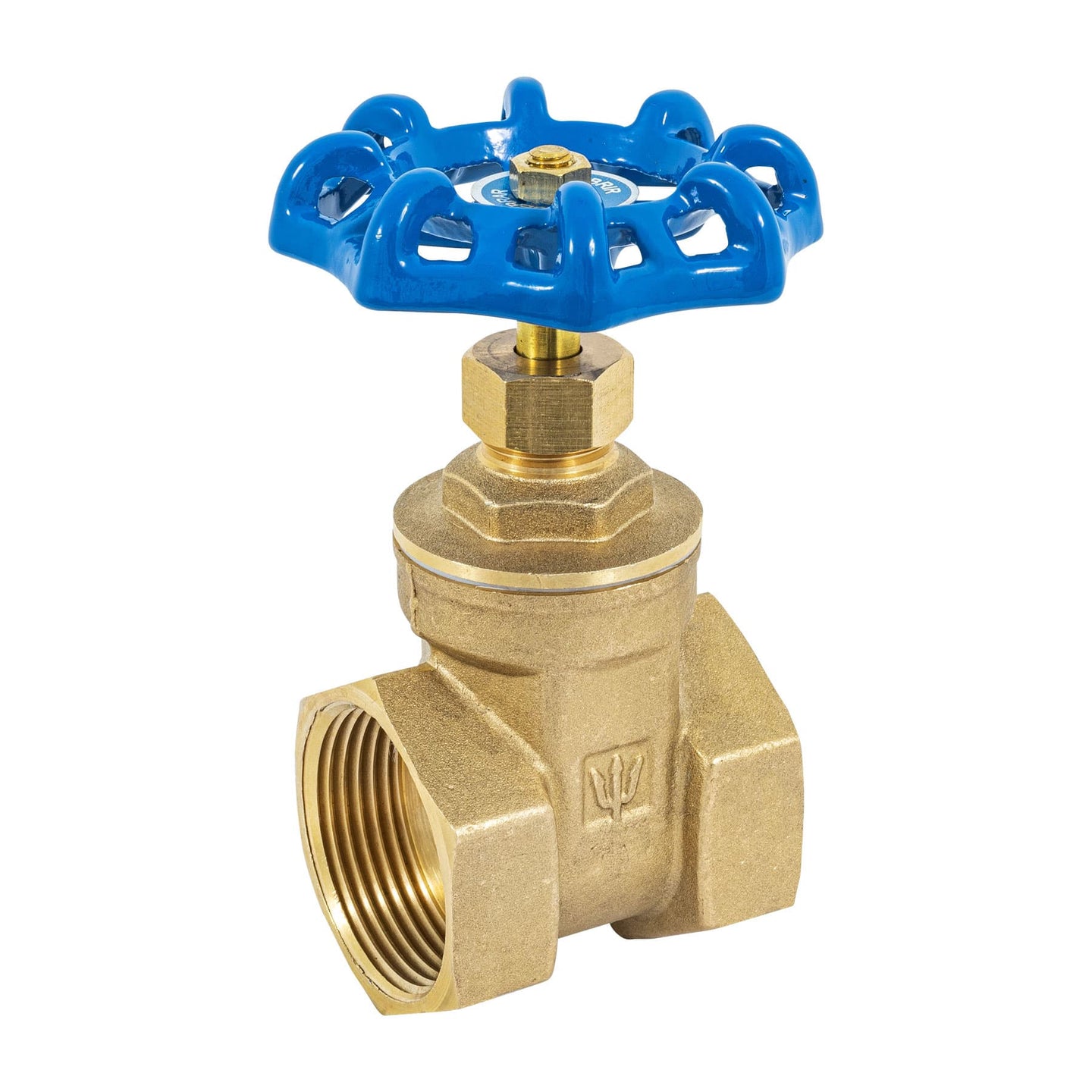 CORO-1-1/4 Válvula de compuerta de latón roscable de 1 1/4", FOSET