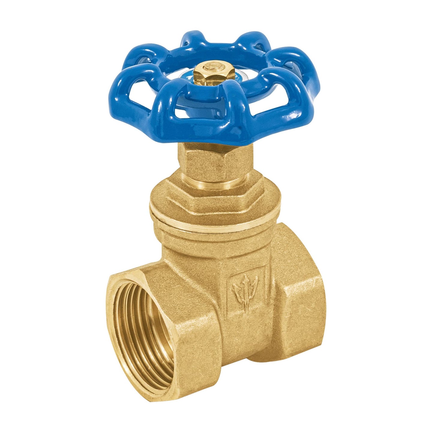 CORO-1 Válvula de compuerta de latón roscable de 1", FOSET