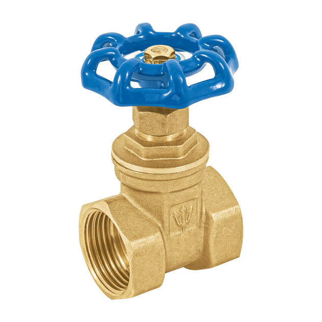 CORO-1 Válvula de compuerta de latón roscable de 1", FOSET