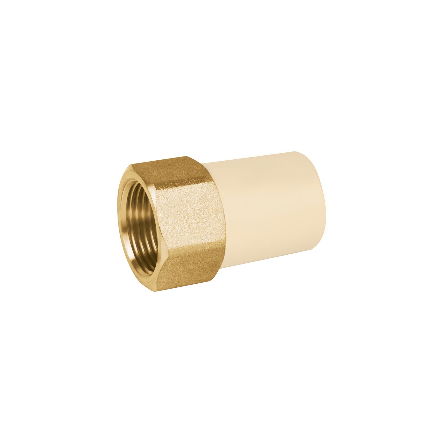 CPVC-642 Adaptador hembra de CPVC 3/4" con inserto de latón, FOSET