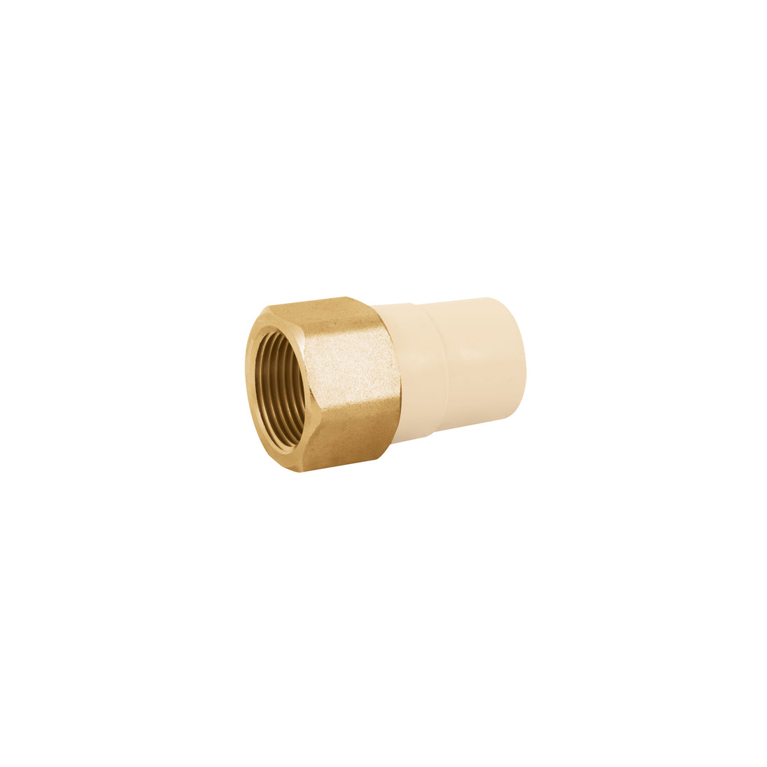 CPVC-643 Adaptador hembra de CPVC 1" con inserto de latón, FOSET