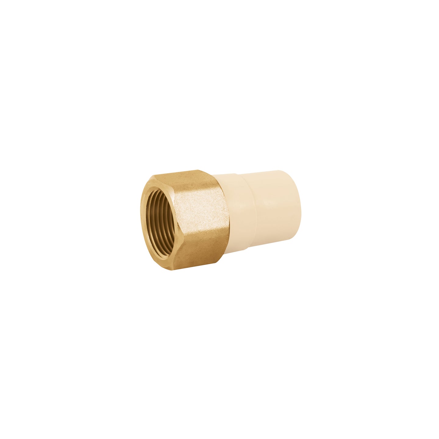 CPVC-643 Adaptador hembra de CPVC 1" con inserto de latón, FOSET