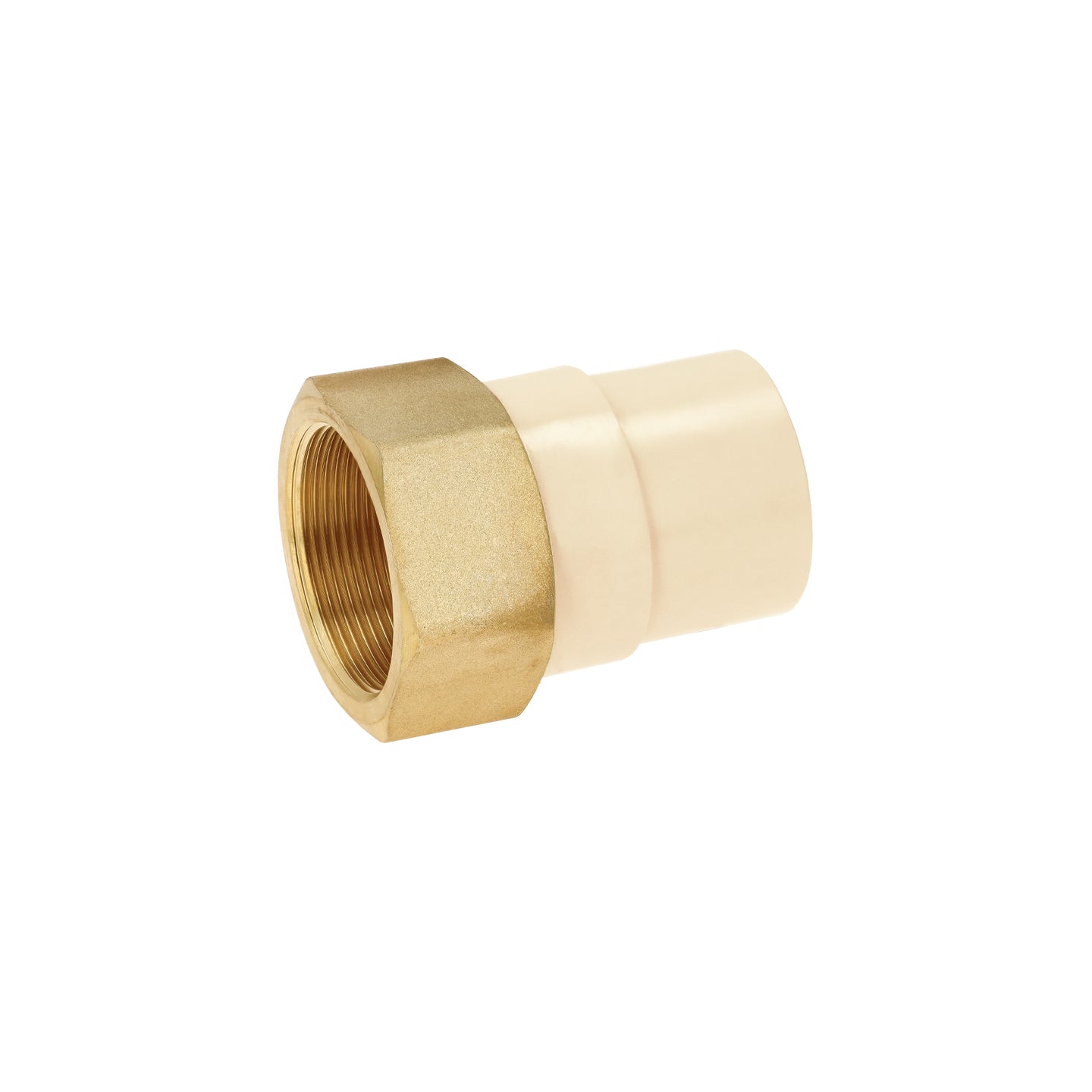 CPVC-645 Adaptador CPVC, 1-1/2", hembra inserto metálico-latón, FOSET