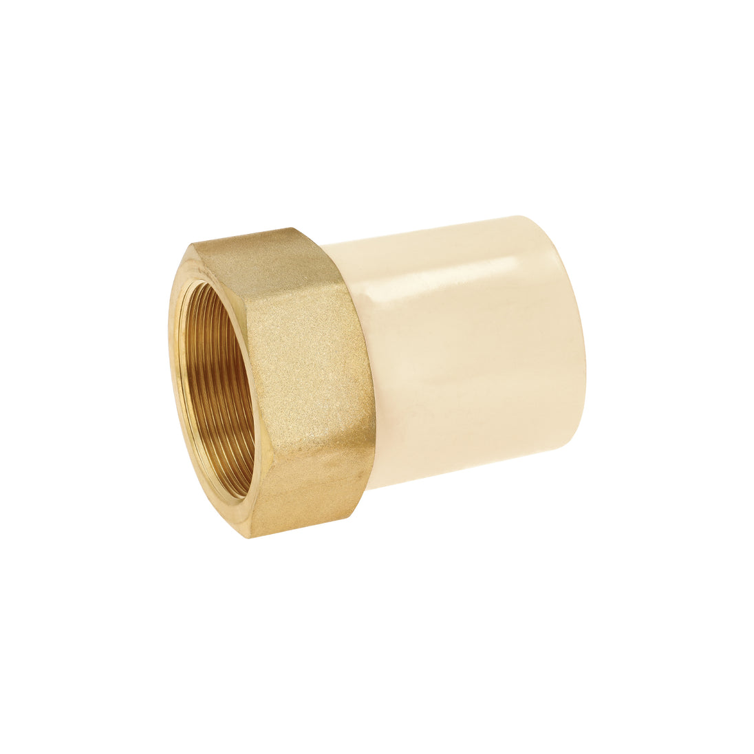 CPVC-646 Adaptador CPVC, 2", hembra inserto metálico-latón, FOSET