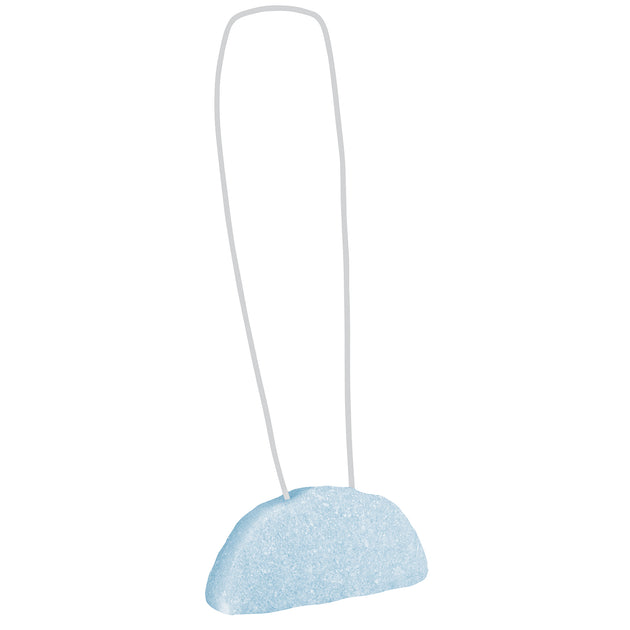 PASA-L Pastilla sanitaria aromatizante y desinfectante, lavanda