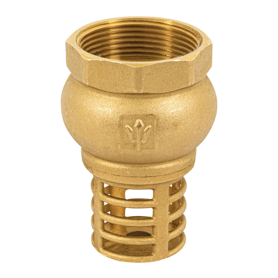 PICHA-1-1/2 Pichancha con rejilla de latón 1-1/2", FOSET