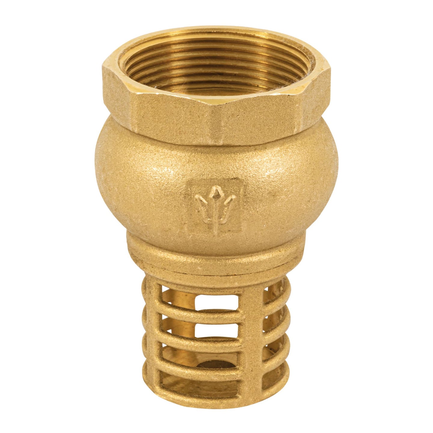 PICHA-1-1/2 Pichancha con rejilla de latón 1-1/2", FOSET