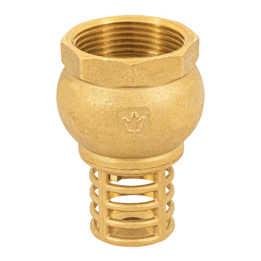 PICHA-1-1/4 Pichancha con rejilla de latón 1-1/4", FOSET