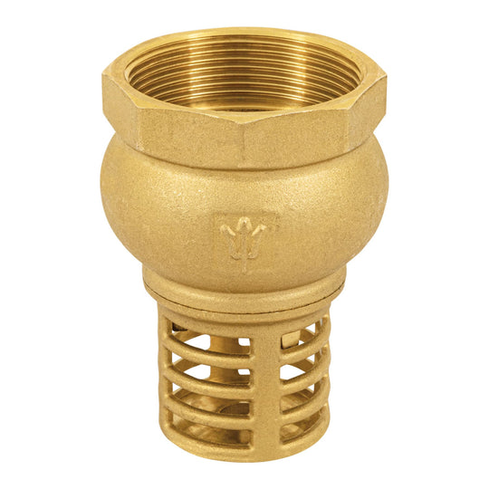 PICHA-2 Pichancha con rejilla de latón 2", FOSET