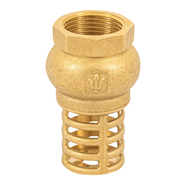 PICHA-3/4 Pichancha con rejilla de latón 3/4", FOSET