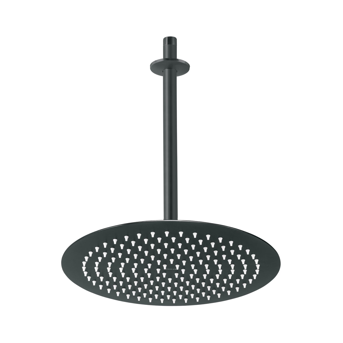 R-313M Regadera plato redondo 12" con brazo, negro, FOSET RIVIERA