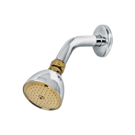 R-509G Regadera cónica 2-1/2",metálica, brazo y chapetón, cromo-oro