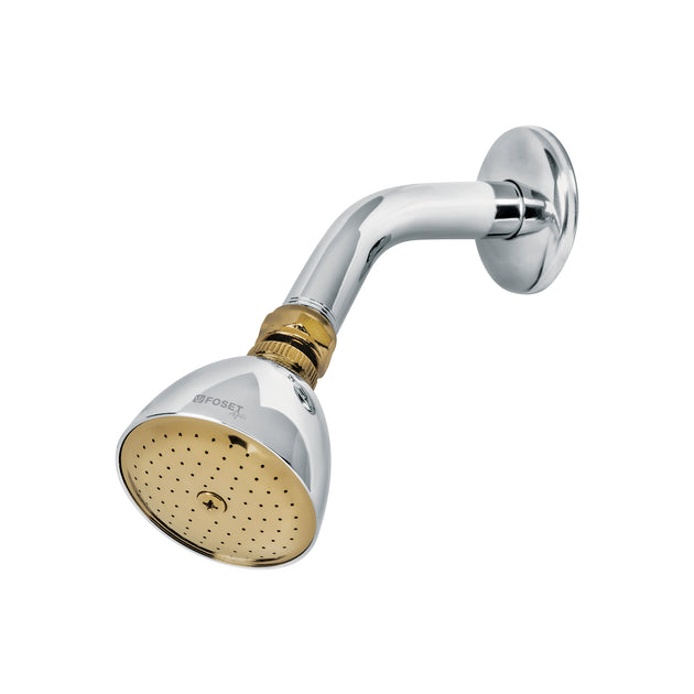 R-509G Regadera cónica 2-1/2",metálica, brazo y chapetón, cromo-oro