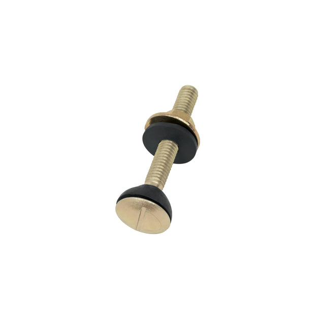 TOR-WC Bolsa con 2 tornillos 5/16" x 70 mm para tanque de WC a base