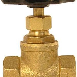 Valvula globo roscable 013mm 1/2" de bronce 100lbs grande 73I Rugo