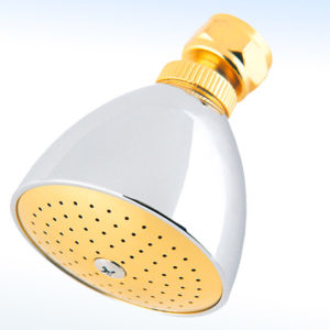 REGADERA REDONDA DE 2 3/4ӯ SIN BRAZO