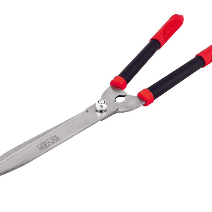 101405.jpg 101405.jpg