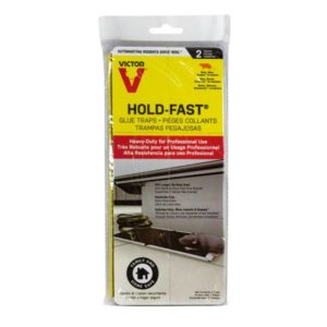 Ratonera charola pegajosa grande 2 pack 669 Victor