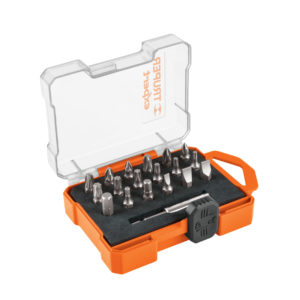 Juego de 19 puntas mixtas largo 1" estuche plástico, Expert